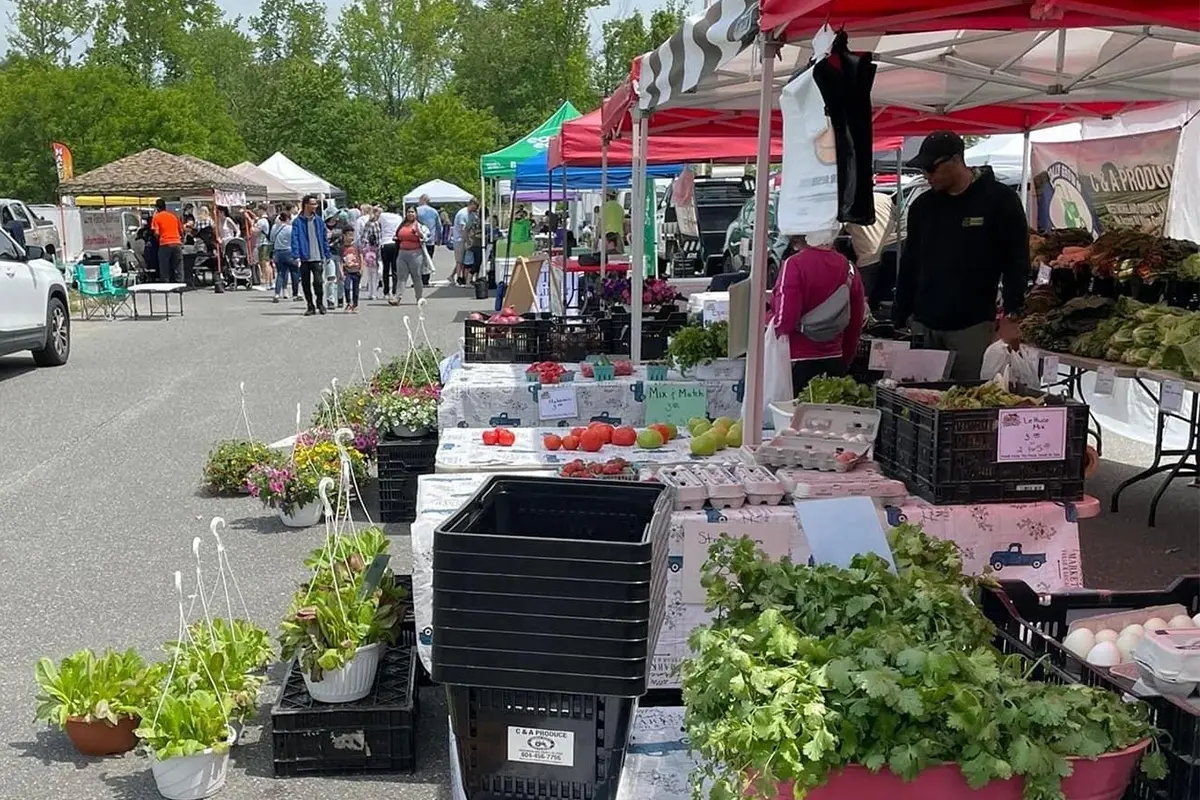 vendor stands with plants and vegetables and people shopping