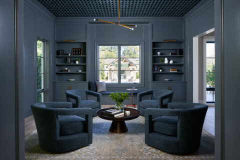 blue sitting room with blue shelves and chairs