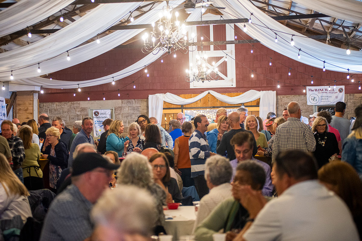 southern delaware wine, food & music festival