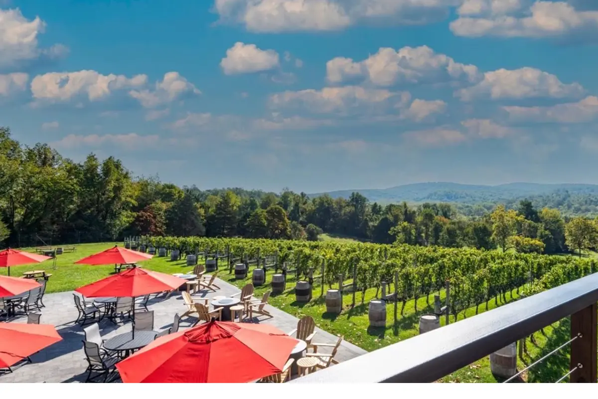 the skyline and patio at 40 West Vineyards