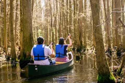 two people canoe though trees at Trap Pond State Park