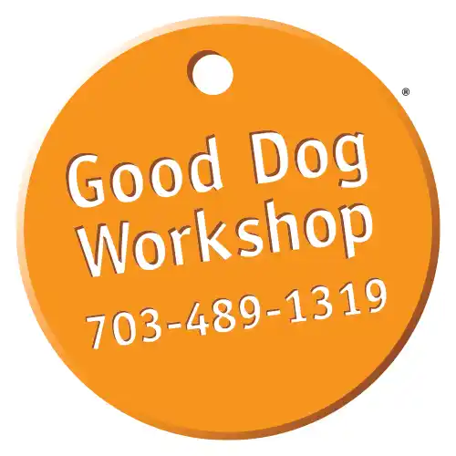 Good Dog Workshop