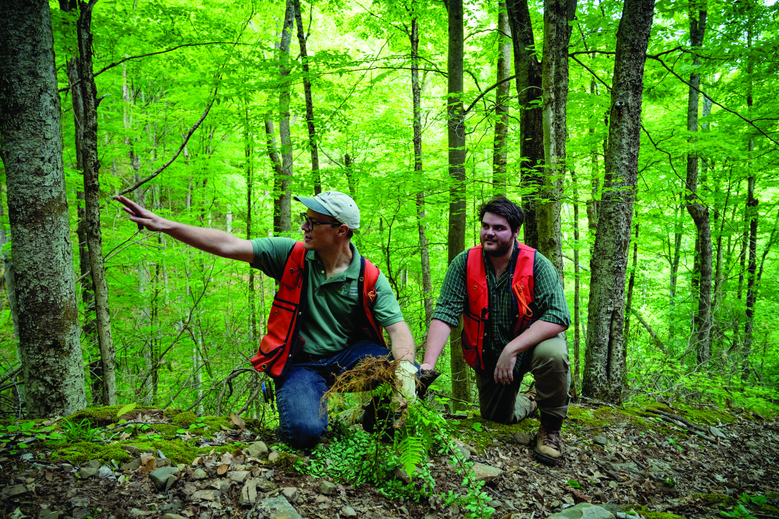 two men looking at forest grounds