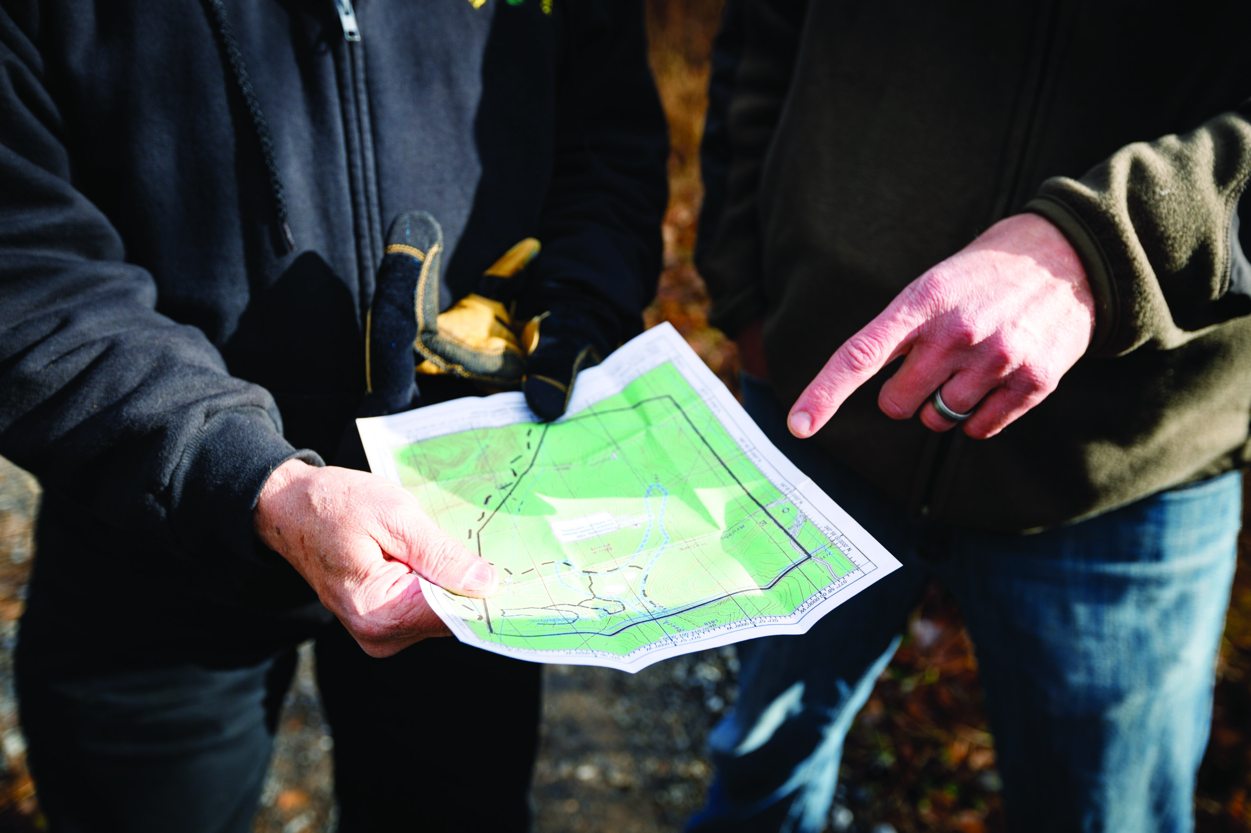 people looking at map