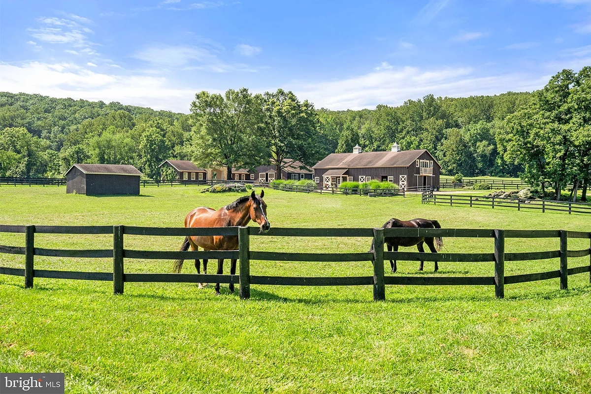 two barns of 6289 Coon Tree Rd.
