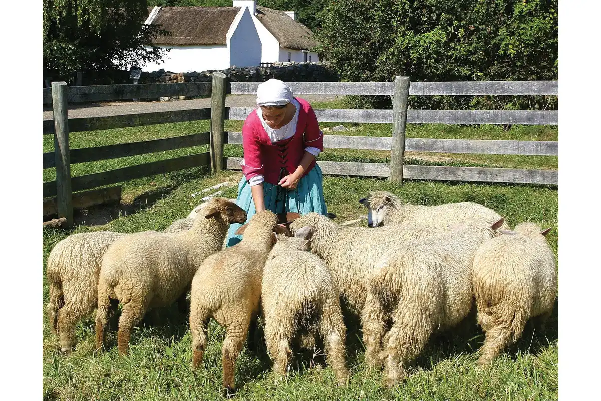 woman tending to sheep at frontier cultural museum