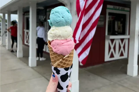 Moo Thru ice cream cone