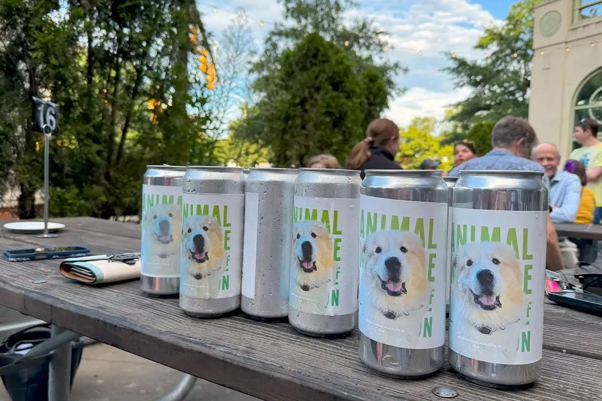 Beer crowlers with Jack Jack the dog
