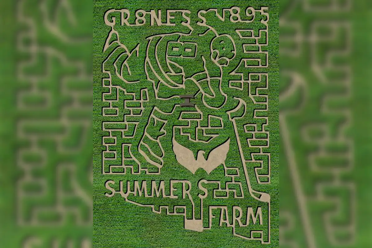 Alex Ovechkin Corn Maze at Summers Farm