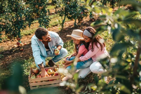 family going apple picking