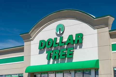 dollar tree store