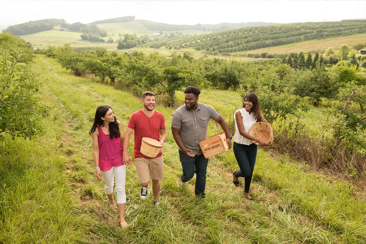 Apple picking in Gettysburg