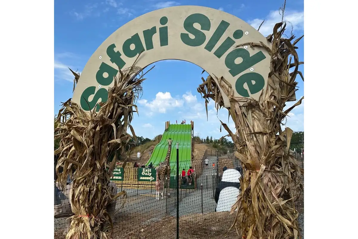 Cox Farms