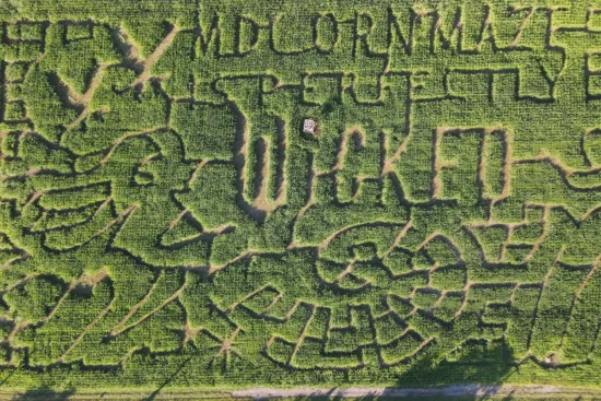 MD Corn Maze