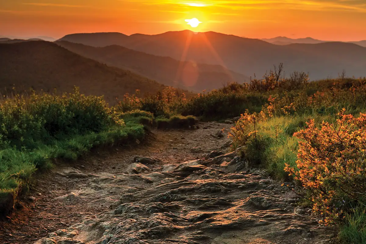 Pisgah National Forest
