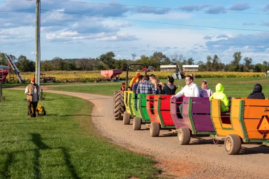 Temple Hall Farm Fall Festival