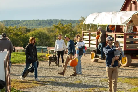 Temple Hall Farms Fall Festival