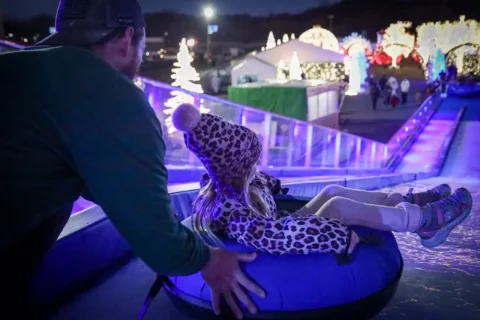 Ice slide