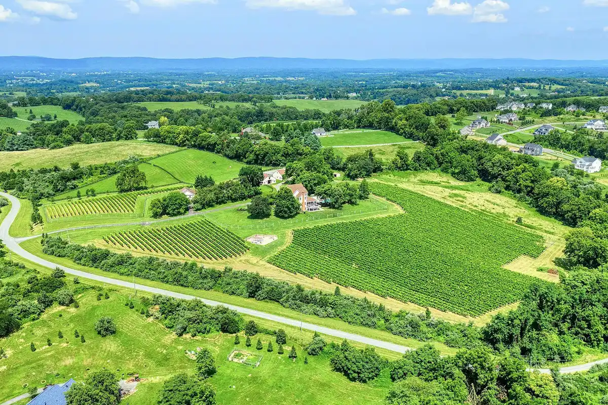 40954 Canter Ln., Paeonian Springs overhead shot