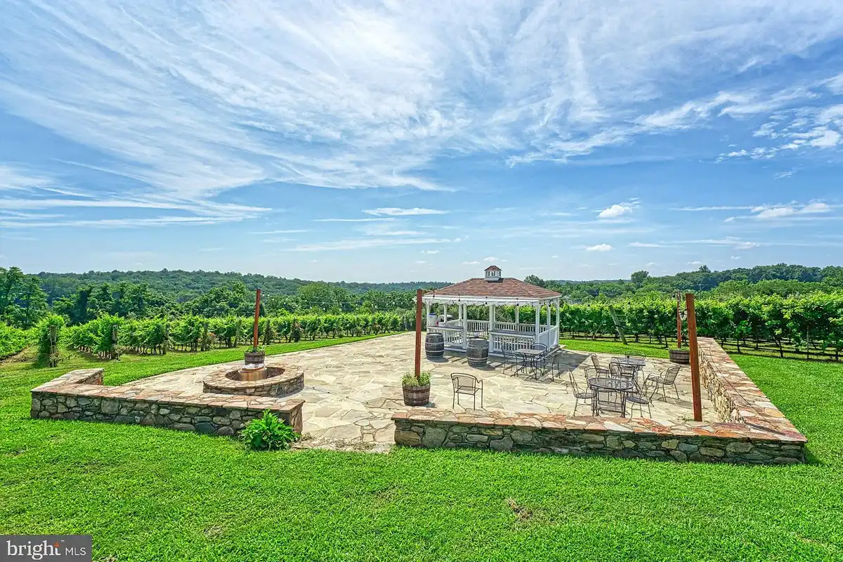patio surrounded by vineyard vines