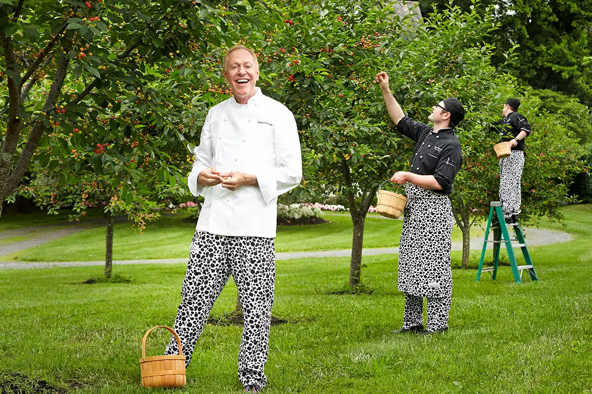 Patrick O'Connell picking fruit from a tree
