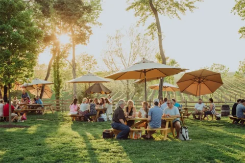 Bull Run Wine Festival