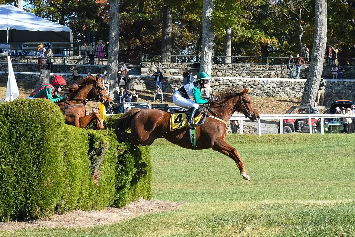 International Gold Cup