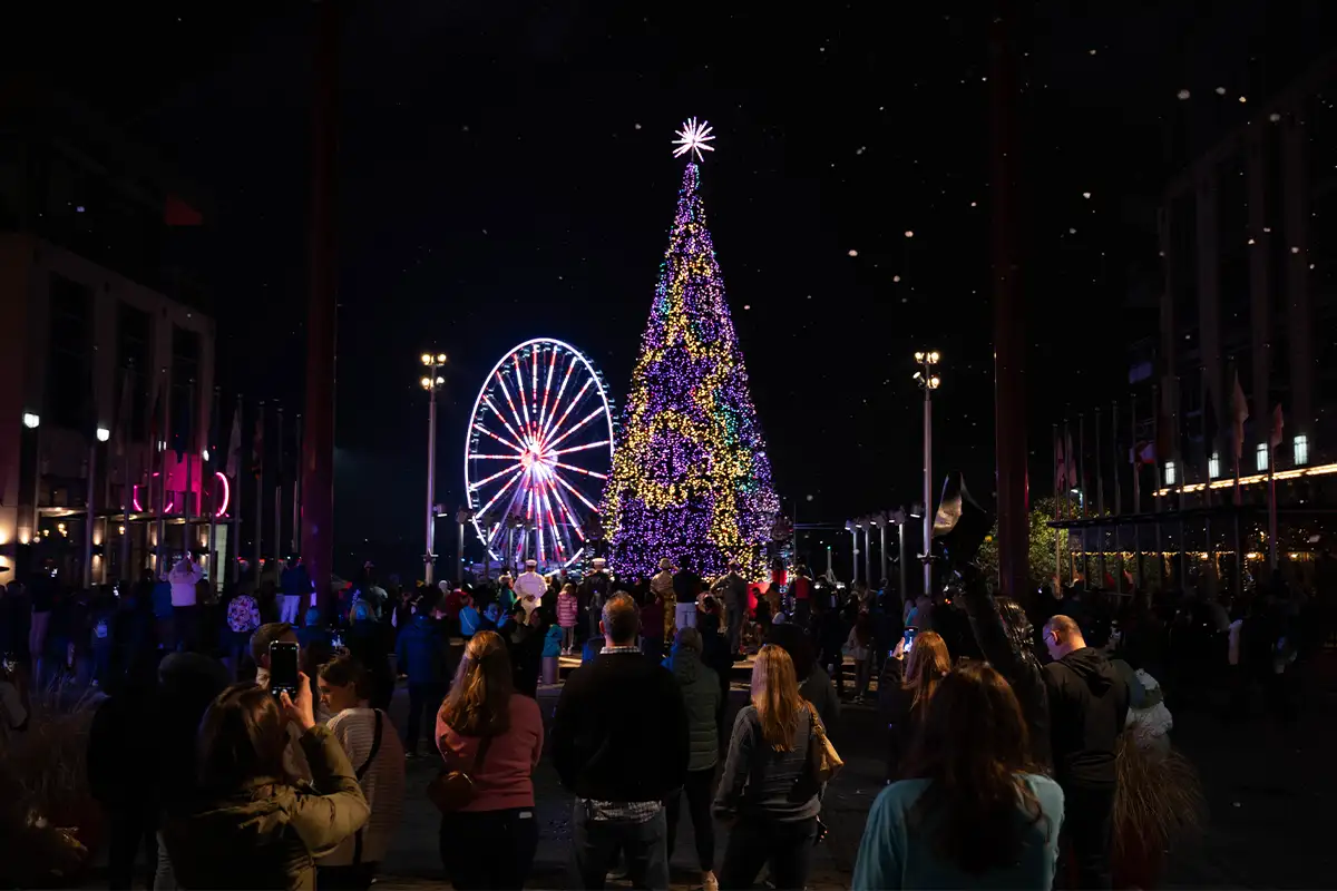 Christmas tree at National Harbor