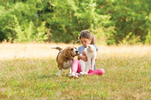 Girl with cat and dog