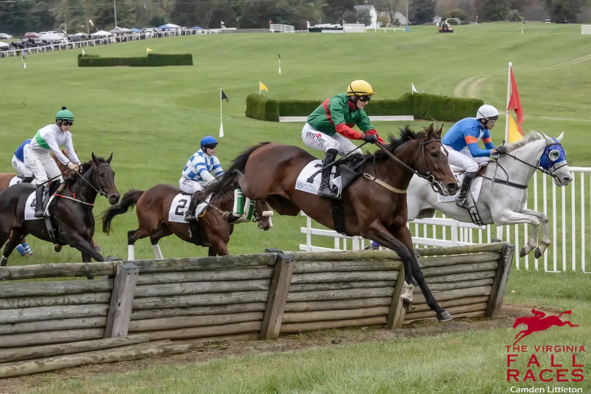 Horses racing at the Virginia Fall Races.