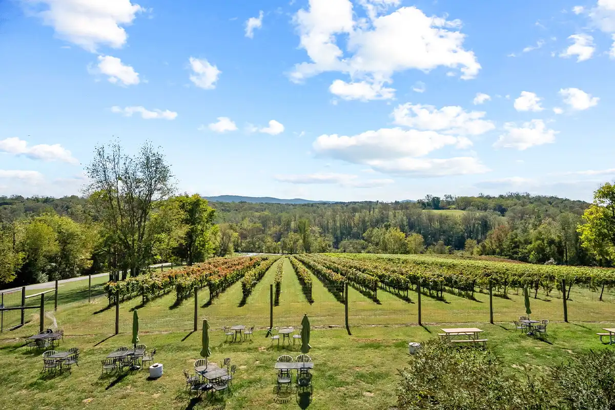 Middleburg’s Cana Vineyards & Winery Is Officially for Sale