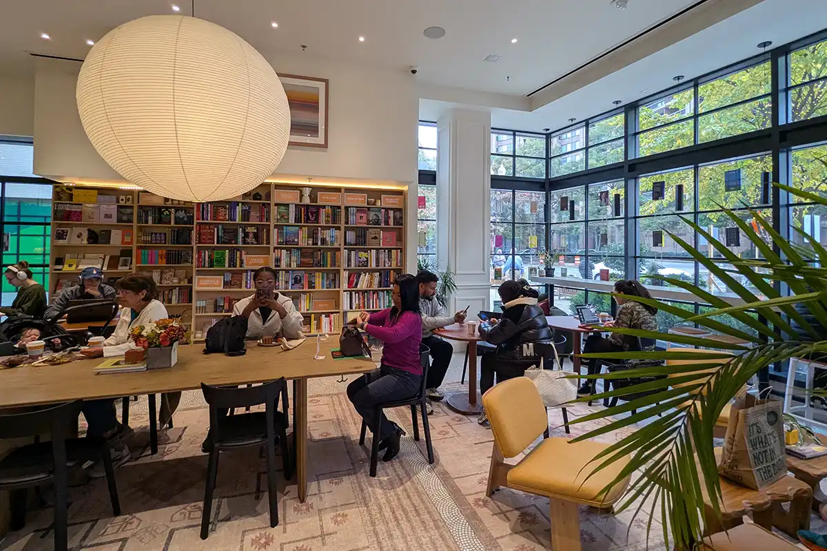 Daydrift interior with bookshelves