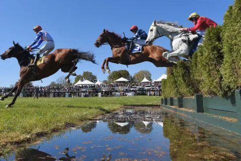 horses jumping over water feature during gold cup