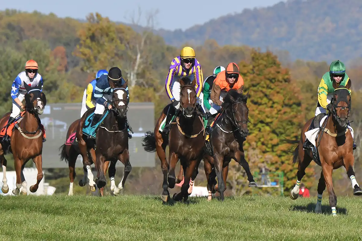gold cup race at great meadows