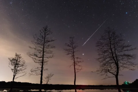 Perseid meteor streak in the night sky