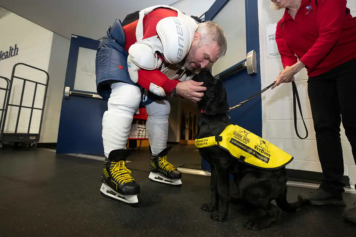 alex ovechkin petting future service dog named ovi