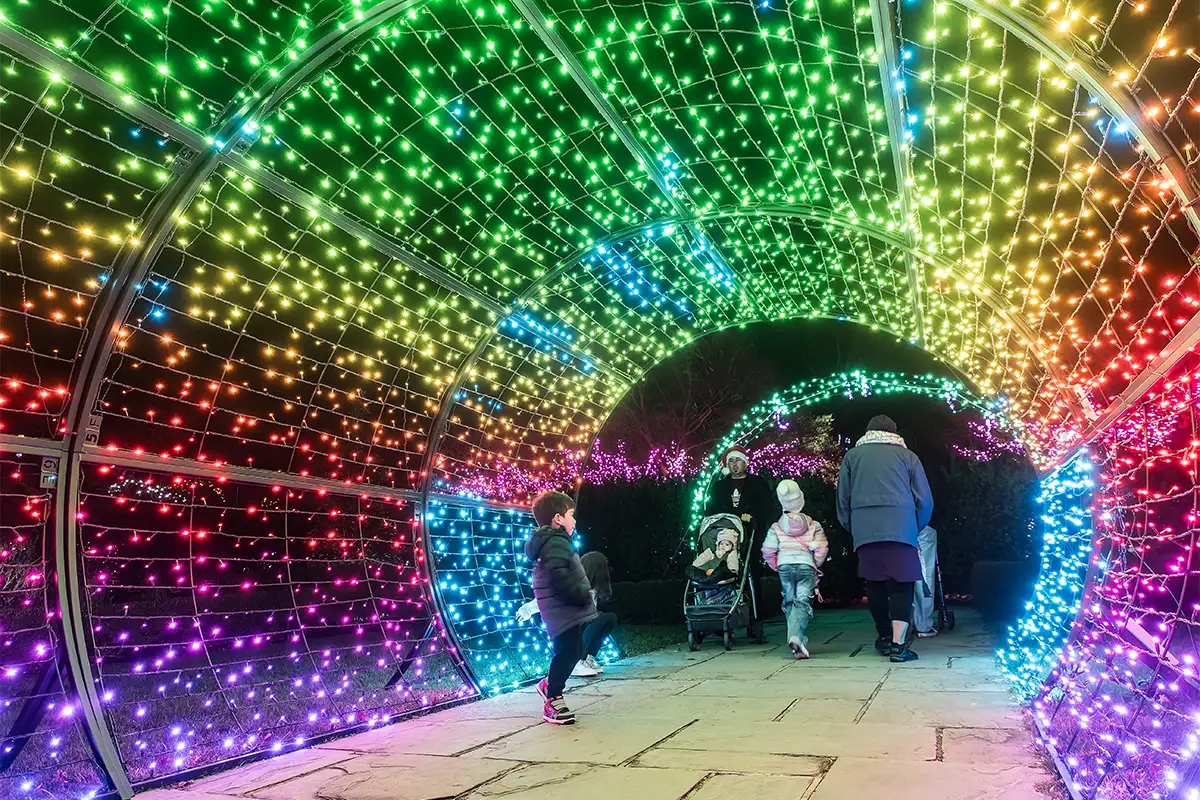 Light Tunnel at the Garden of Lights at Brookside Gardens in Maryland. 