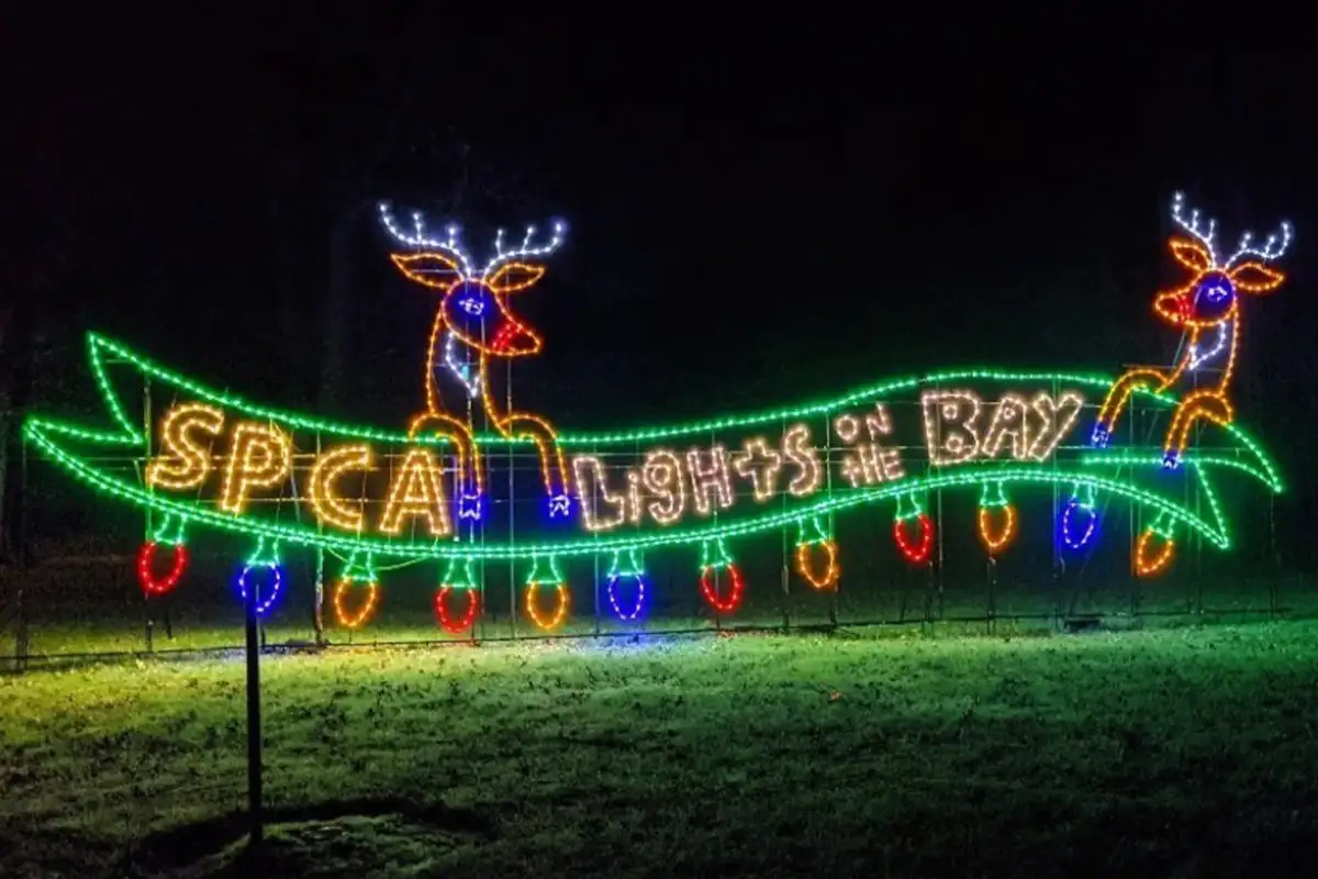 Lights on the Bay logo