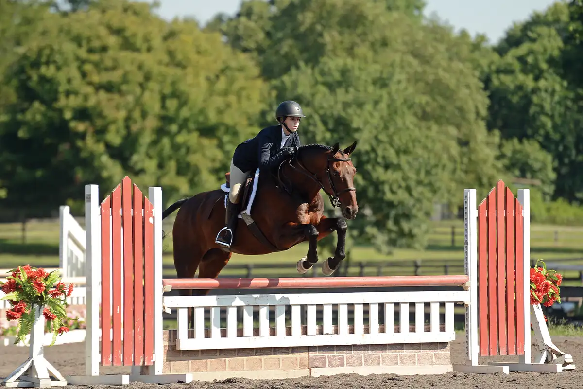 Madeira School equestrian program