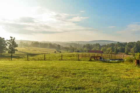 A field near Smith Mountain Lake in Virginia