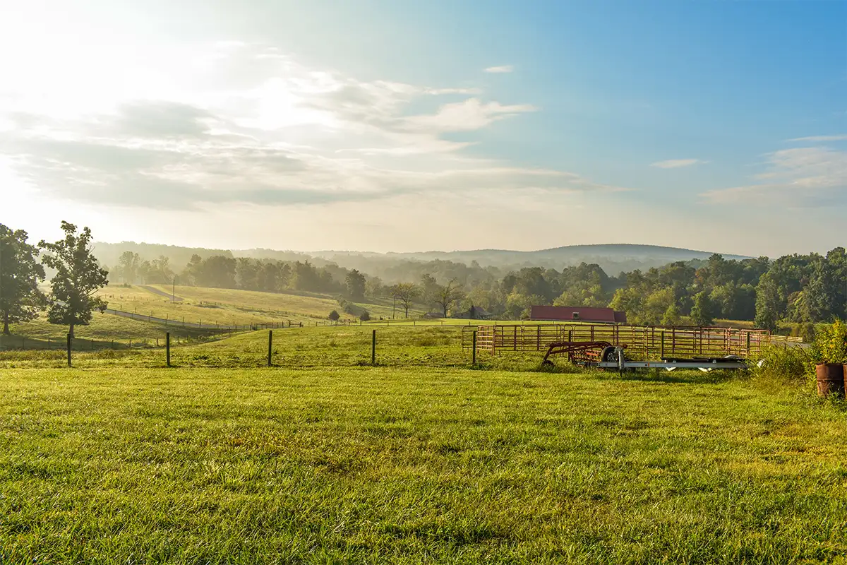 A field near Smith Mountain Lake in Virginia