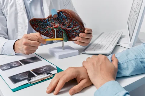 Doctor and patient looking at liver model