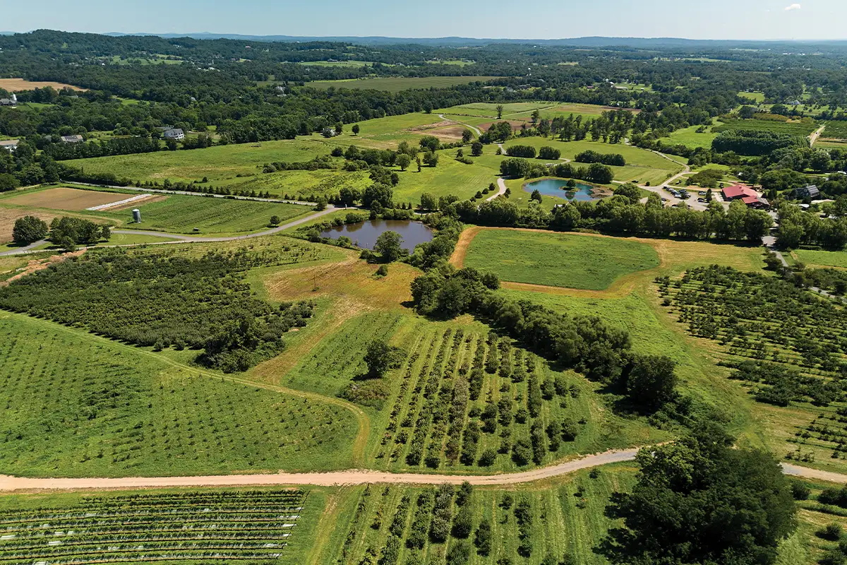 Rural Loudoun County