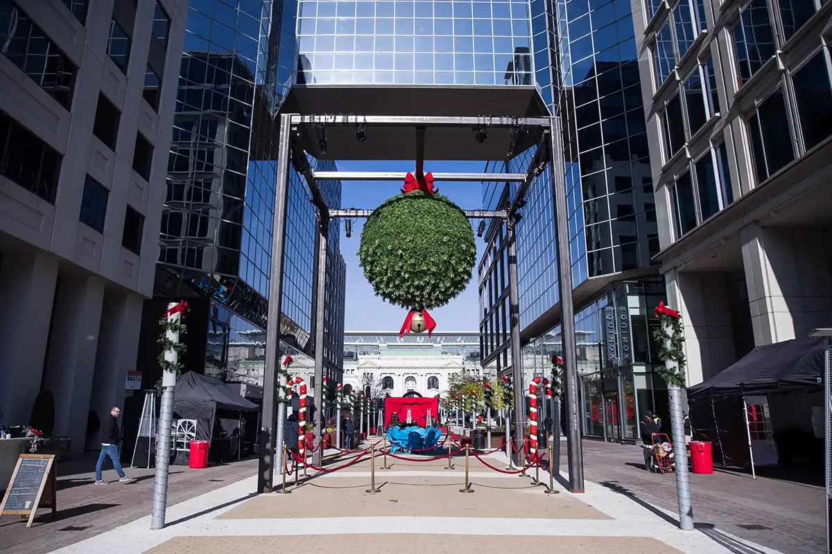 The 2024 National Mistletoe