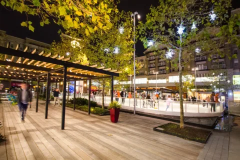 the skate rink at Westpost at National Landing