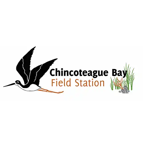 Chincoteague Bay Field Station