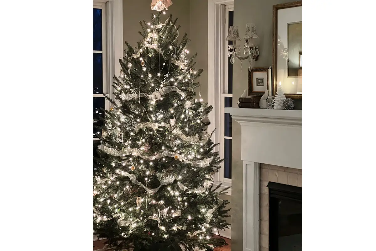 a Christmas tree decorated with white lights and ribbon