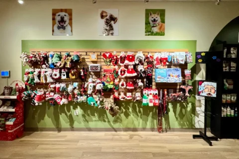 a wall with dog products at The Dog Store in Alexandria