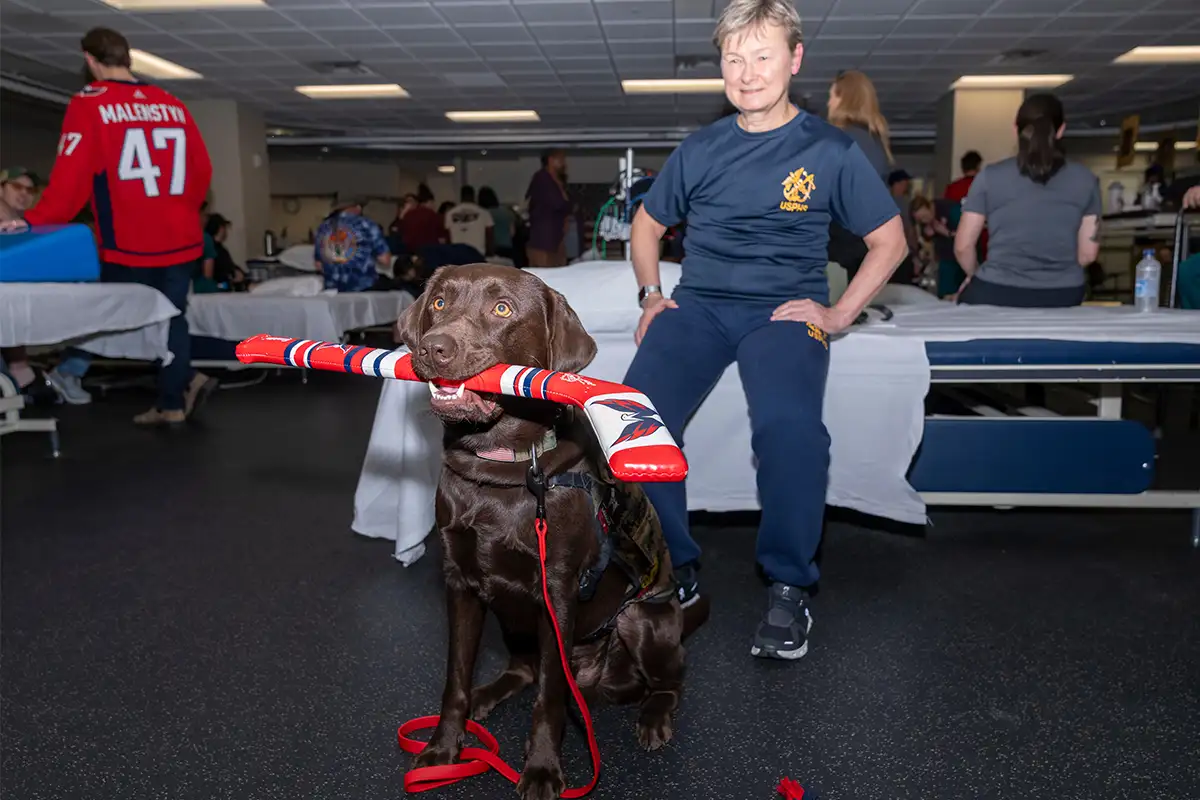 Biscuit the service dog with a hockey stick