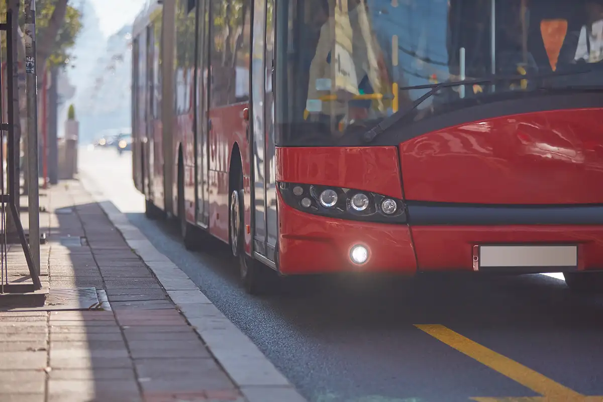 bus